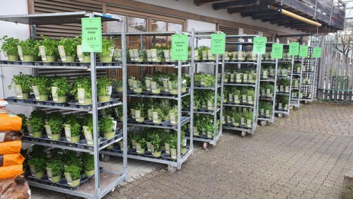 Sauer - macht Gärten lebenswert