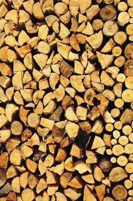 Suttner Forst- und Baumpflege Kochel am See