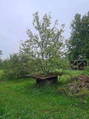 NaturErlebnisGarten