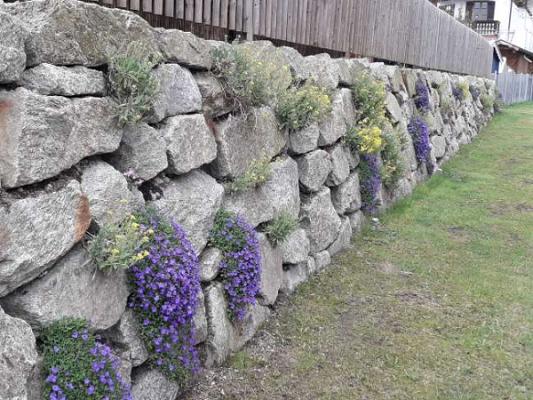 Mike Kubiak Gartenpflege