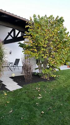 Gartenpflege Mangfalltal