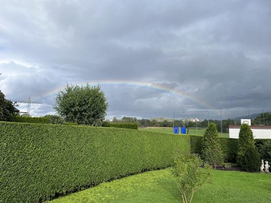 Fitsch Haus- und Gartenservice