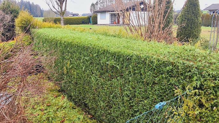 Louis Töpper Gartenpflege und Service