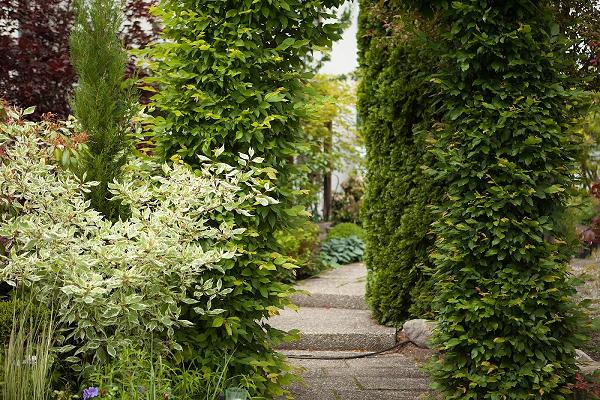 Baumschule Ludwig, Pflanzen-Center