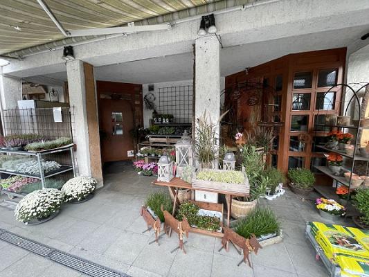 Blumen - Trend-Floristik