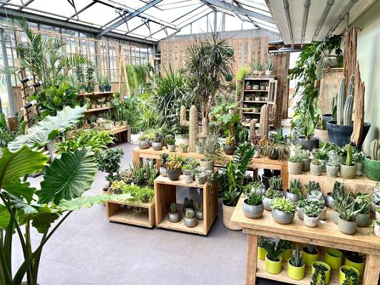 Rother's Blumen-Paradies e.K.