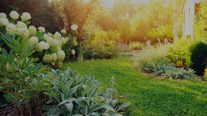 Baumschule Rosa Noichl Inh. Willi Sedlmayer