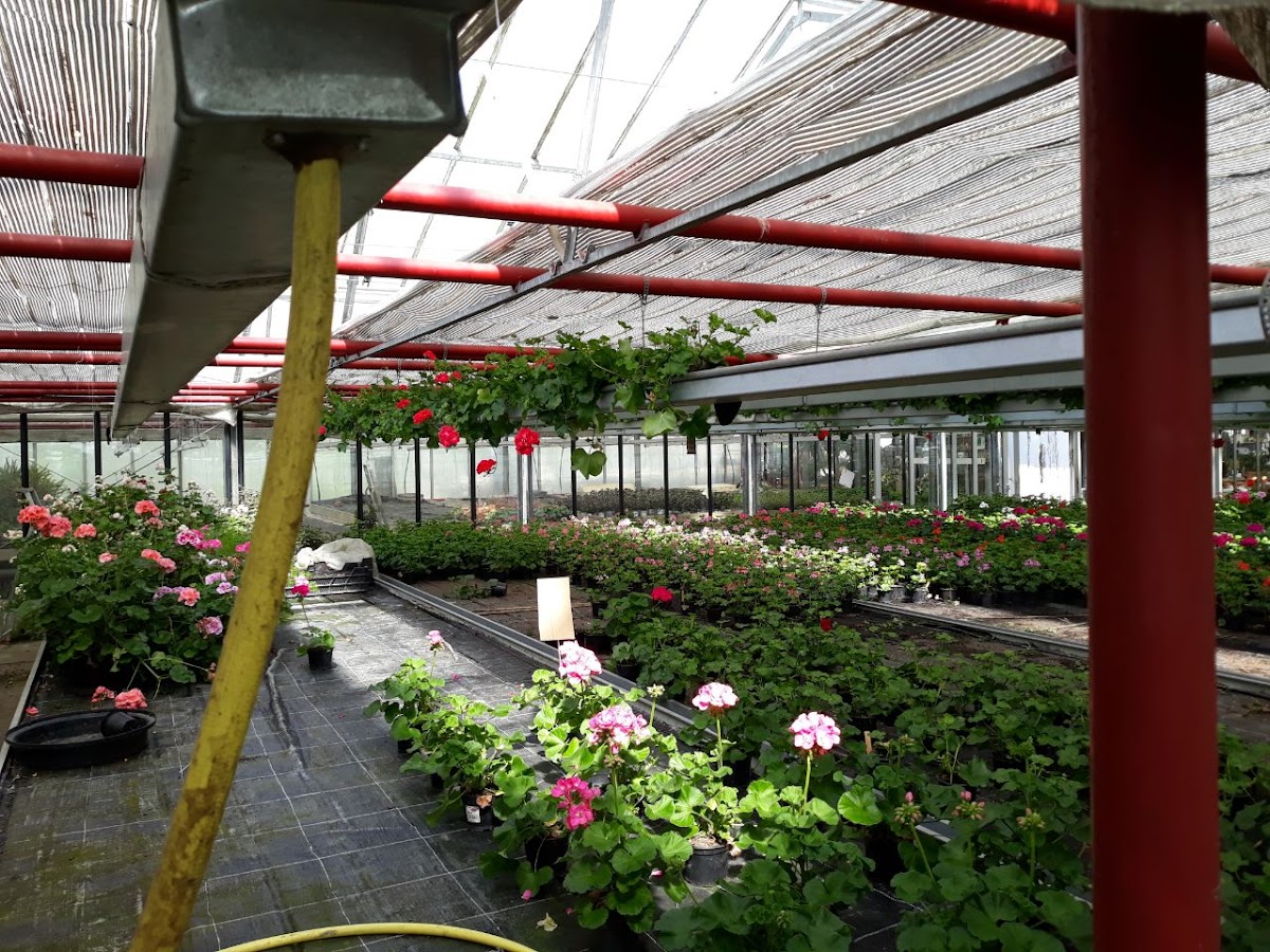 682e2af20e440