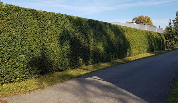 Georg Pfaffenberger Garten-Baum-Zaun