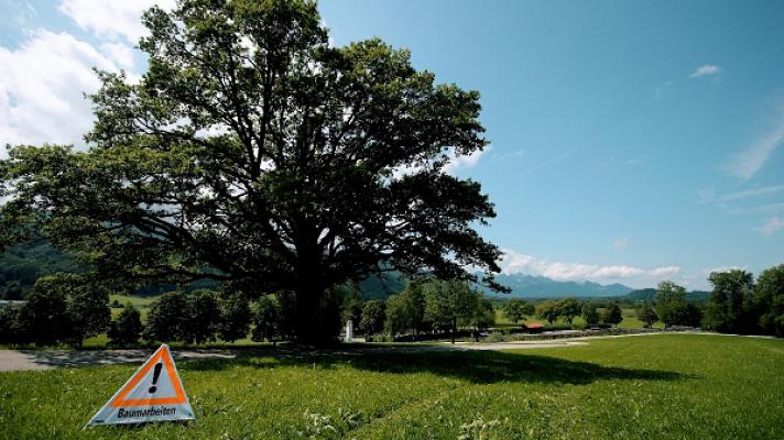 Baumpflege Christian Höhne, Dipl. Ing.(FH)