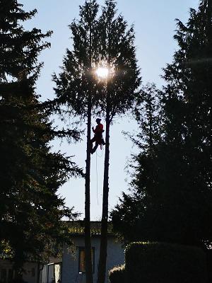 Holz Gade GmbH