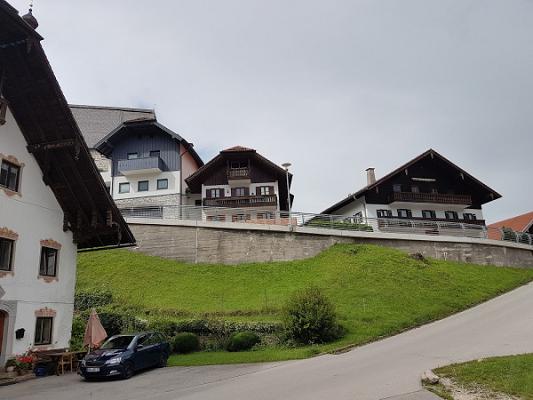 Störmers Pflanzenservice