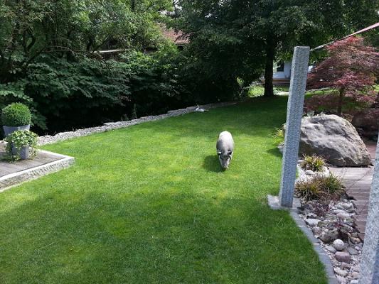 Weistenfeld Aussenanlagen