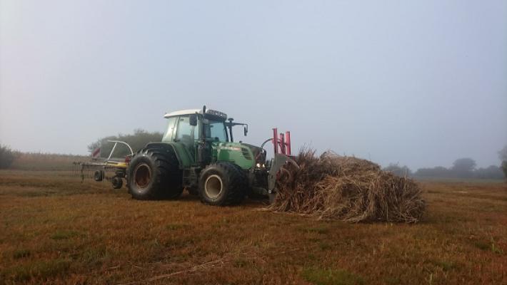Landschaftspflege Mayer Pullach