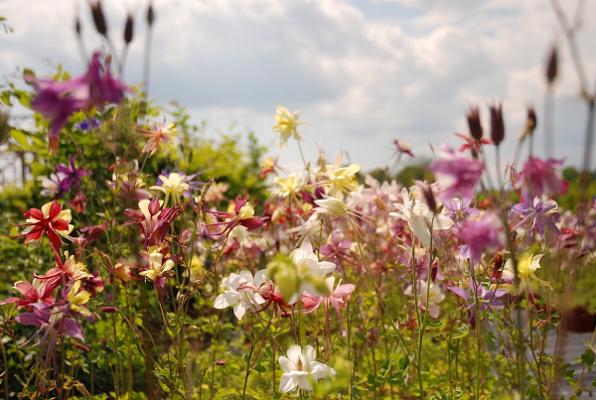 Gartengestaltung