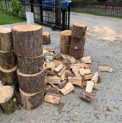 Baumpflege und Fällung Berlin Brandenburg