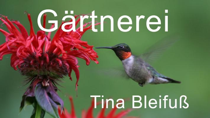 Gärtnerei Tina Bleifuß