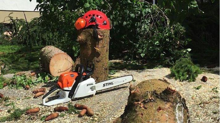 Baumpflege + Gartenservice im Chiemgau +361Grad