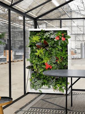 Muki´s Plant und Plan by Green Garden