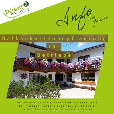 Störmers Pflanzenservice