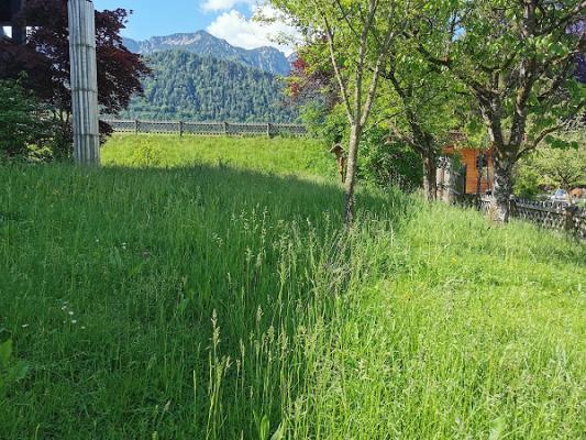 S K Sascha's Haus- und Gartenbetreuung