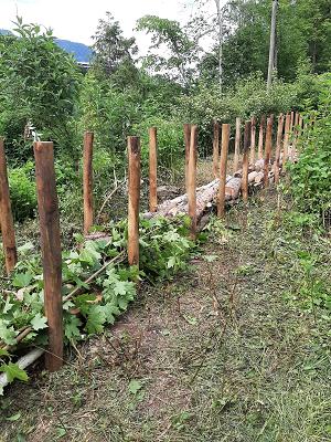 682e2c4a05356