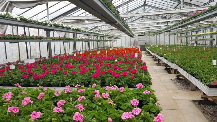 Gartenbau Stocker
