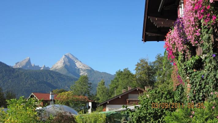 Cramer Gärtnerei & Orchideenzucht