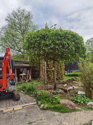 Garten und Landschaft Nikolaus Rußegger