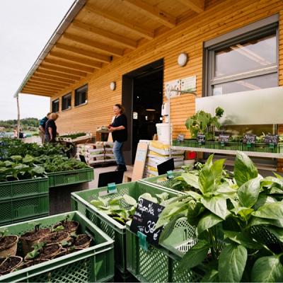 Laden im Thal