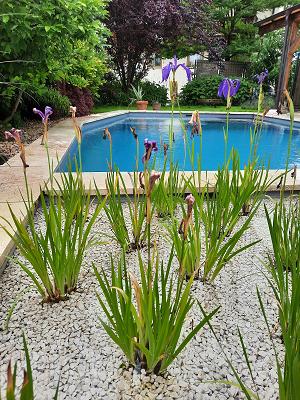 Gartenbau Messerer
