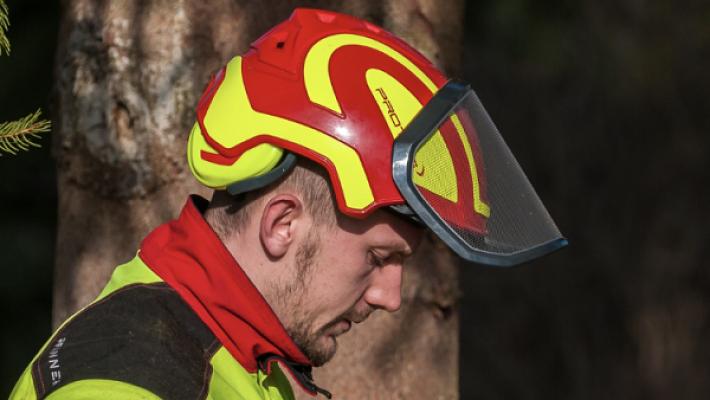 Bestensee‘r Baumdienst & Gartenbau