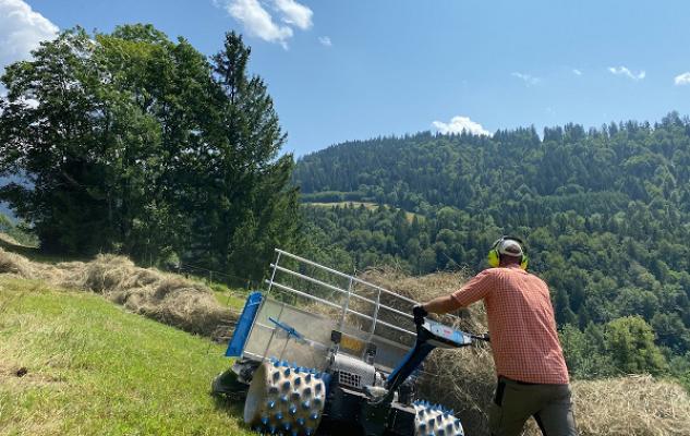 Garten- und Landschaftsservice Flach-Sommer
