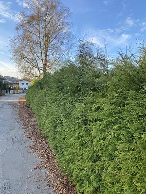 Gartenpflege Max Rösler