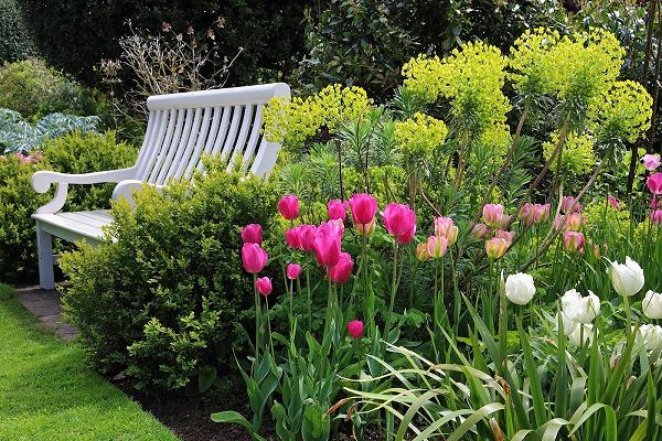 DaHAUS - rund ums Haus