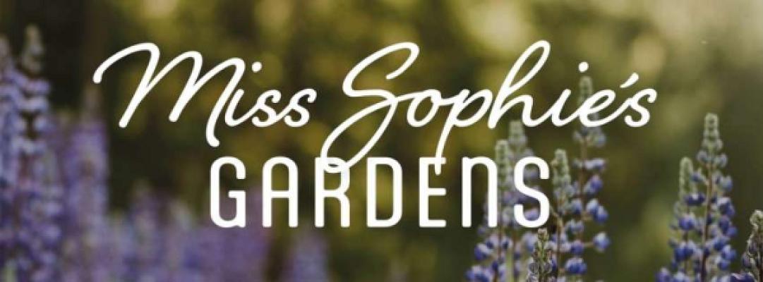 Miss Sophies Gardens