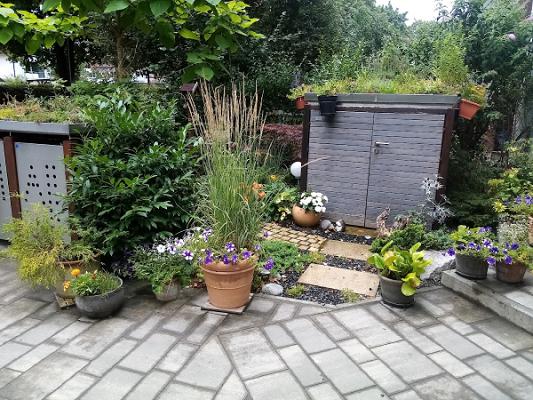 DerGartenAndi