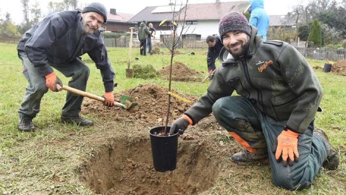 Bio-Baumschule Brenninger