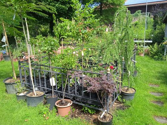 Baumschule Emmersberger