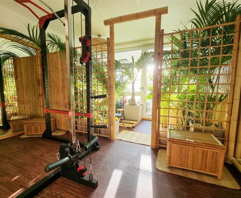 Bamdis - der Bambus Discount