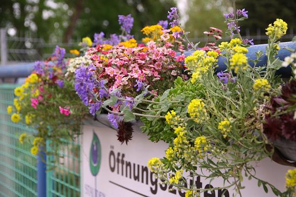 Stauden Haid - Bio-Gärtnerei