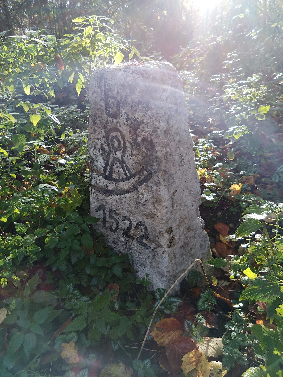 682e309c08548