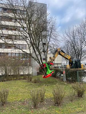 Fiedler GmbH & Co. KG Garten- und Landschaftsbau