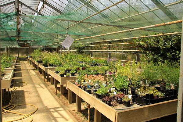 Baumschule Flachslander / Gartengestaltung