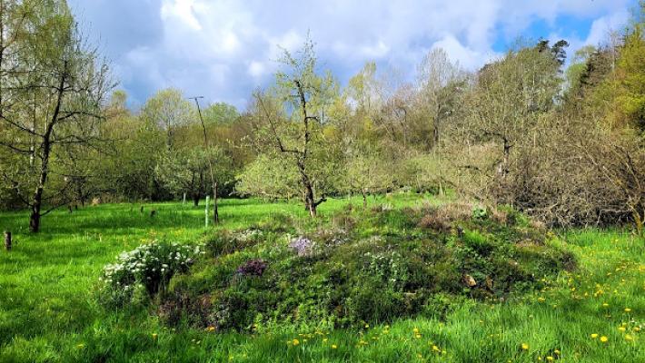 Waldgarten Petershausen e. V.