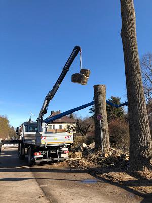 Trinkgeld GmbH Garten- & Landschaftsservice