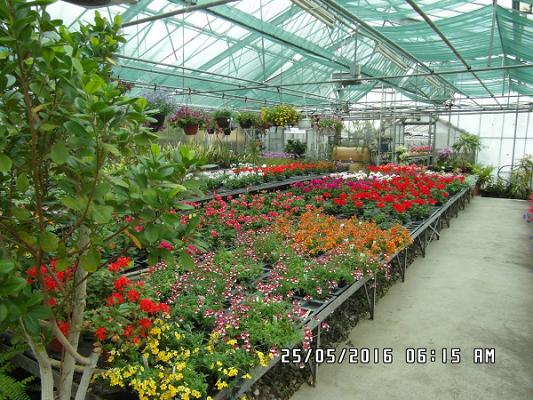 682e322ab4248