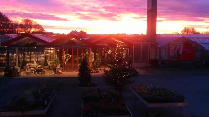 1A Garten Eickelmann