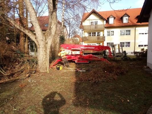 Baumpflege Reichenbächer