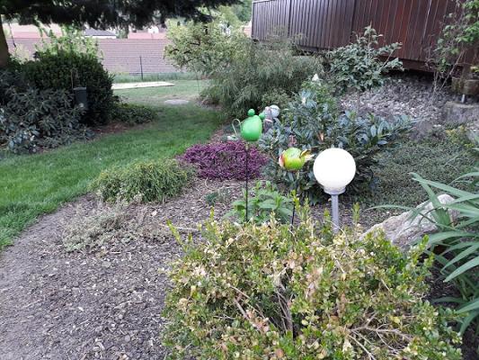 Alfred Mayr Gartenservice